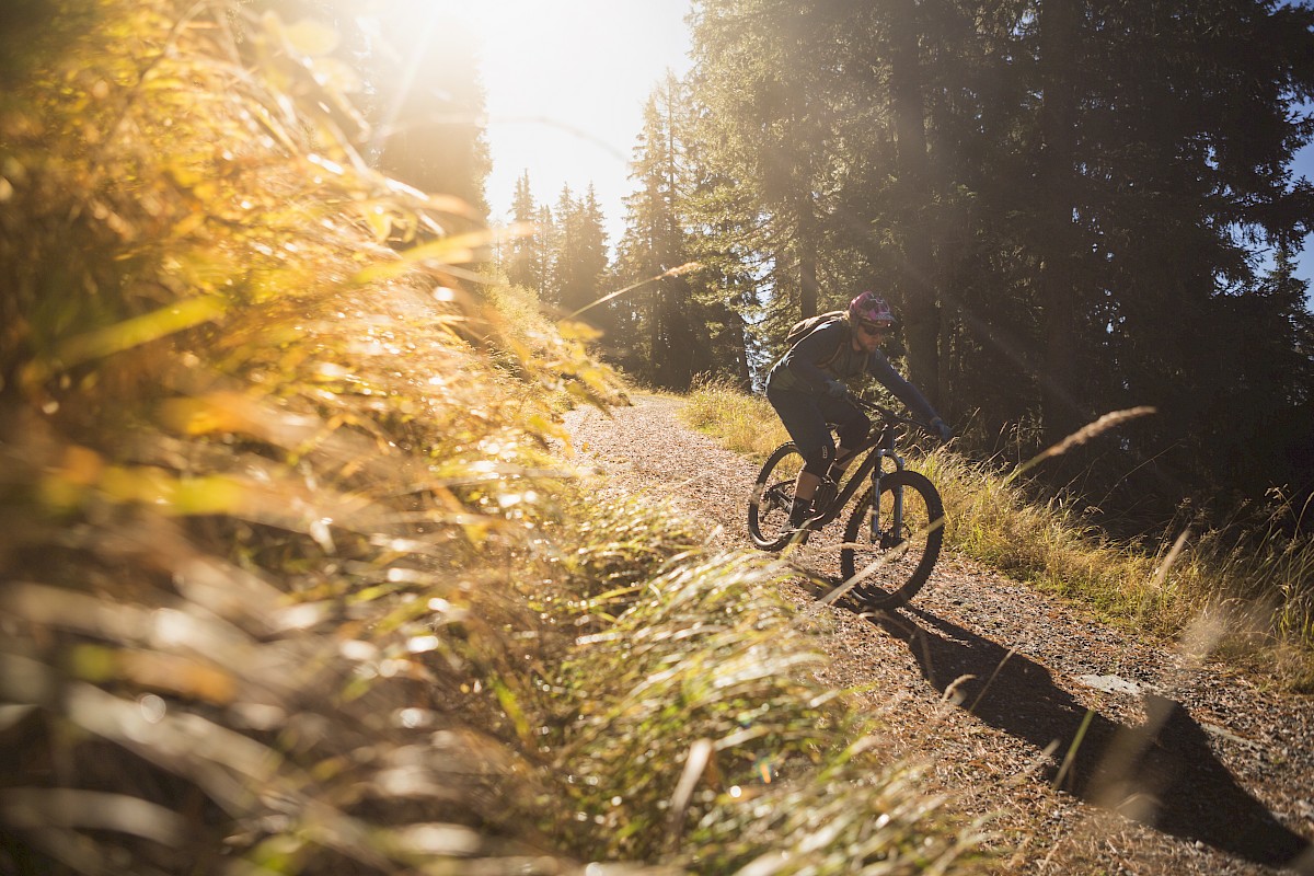 Mountain biker riding along a sunlit trail through the autumn forest in the Wildkogel Arena Neukirchen & Bramberg.